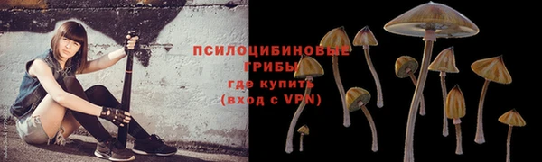 каннабис Новокубанск
