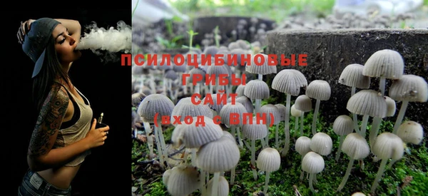дистиллят марихуана Новозыбков