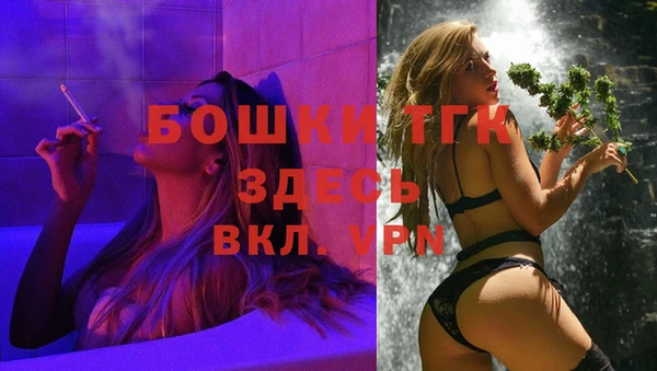 тгк Няндома