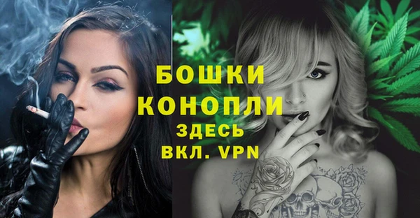 тгк Няндома