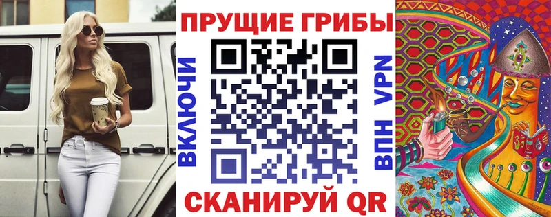 Галлюциногенные грибы GOLDEN TEACHER  купить  цена  Камбарка 